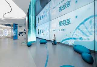 常用的IBIB便宜吗