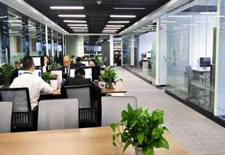 湖南出口小白鲸智能枕口碑推荐