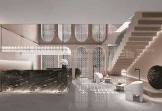 HV真空清扫定制